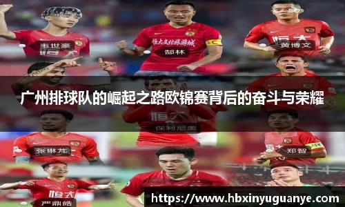 广州排球队的崛起之路欧锦赛背后的奋斗与荣耀