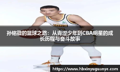 南宫NG28