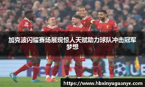 南宫NG28